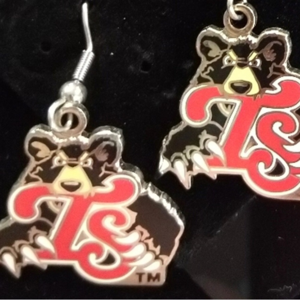 🆕 “Tennessee Smokies earrings” 🆕
Chicago Cubs MilB Affilates 🧸